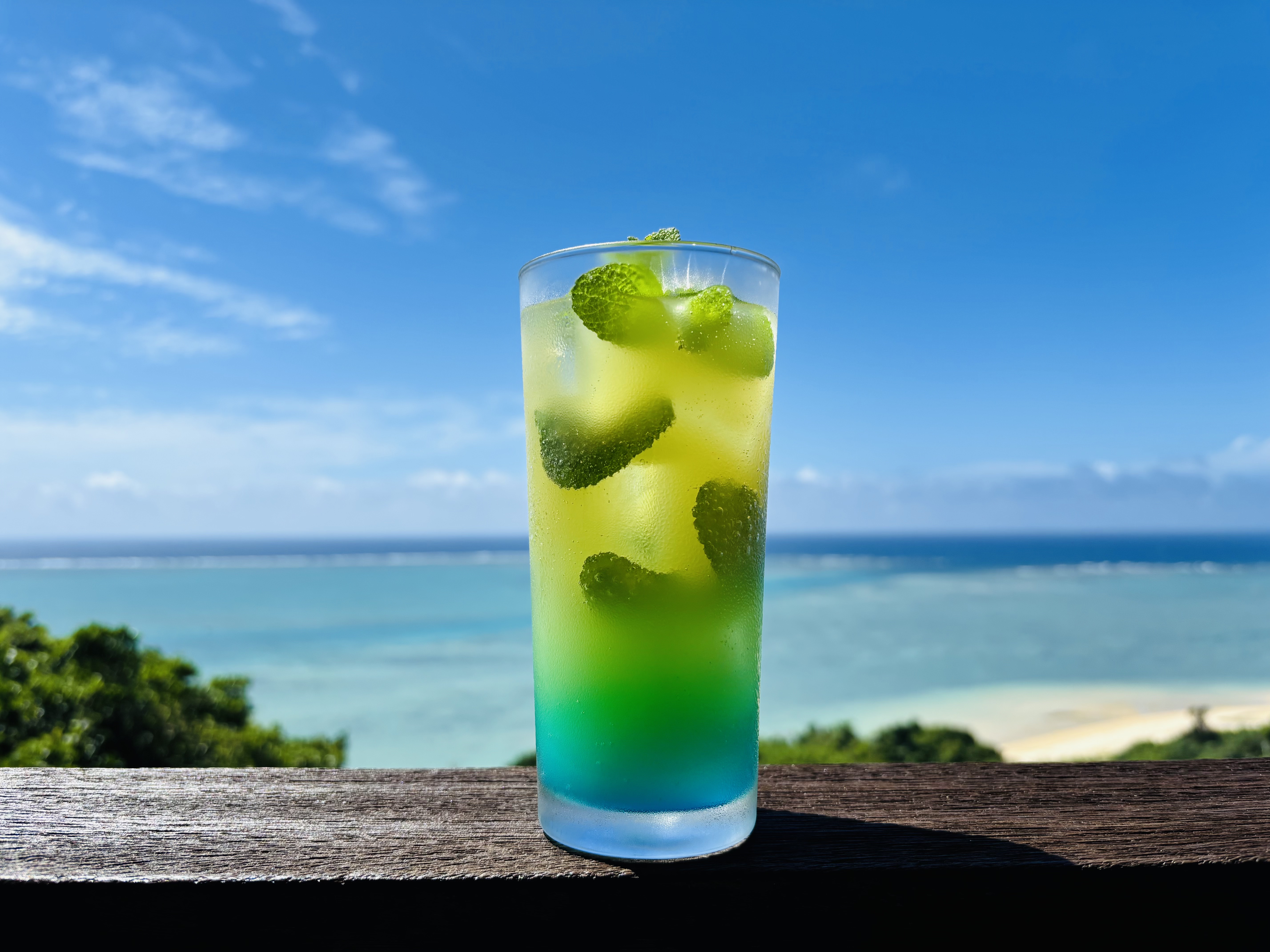お飲み物